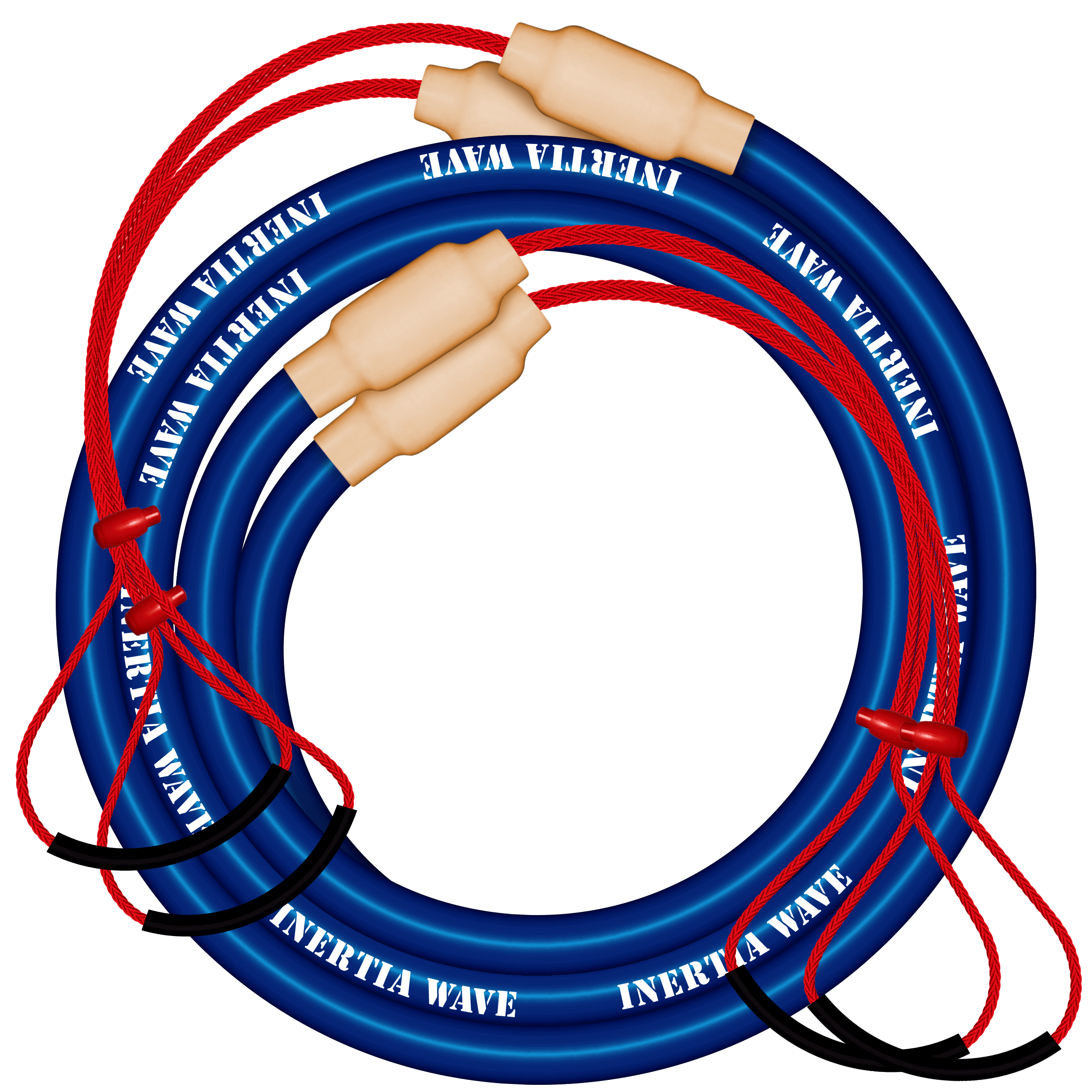 Battle Ropes vs. Inertia Wave DUO