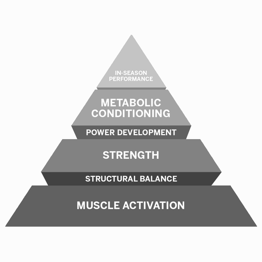 Top Home Fitness Equipment Inertia Wave / Metabolic Kickstart